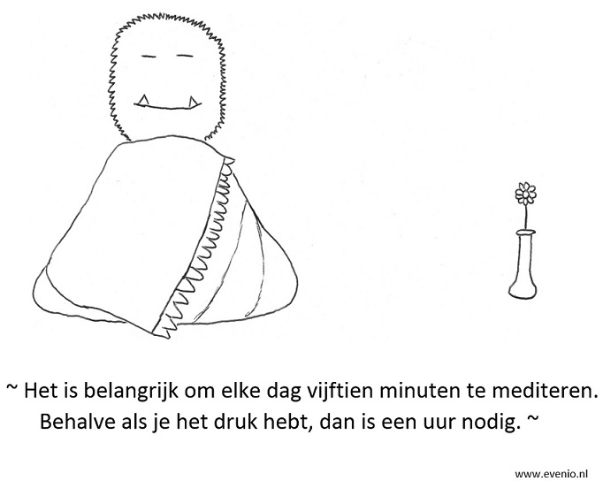 mindfulness-boek-mediteren